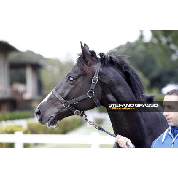 Portrait for Laghat and his owner and gentleman rider Federico De Paola Rome - Capannelle racecourse 15th april 2012 ph.Stefano Grasso