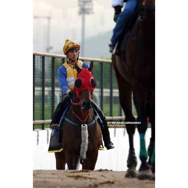 Sha Tin - morning track works 9th dec. 2004 ph. Stefano Grasso