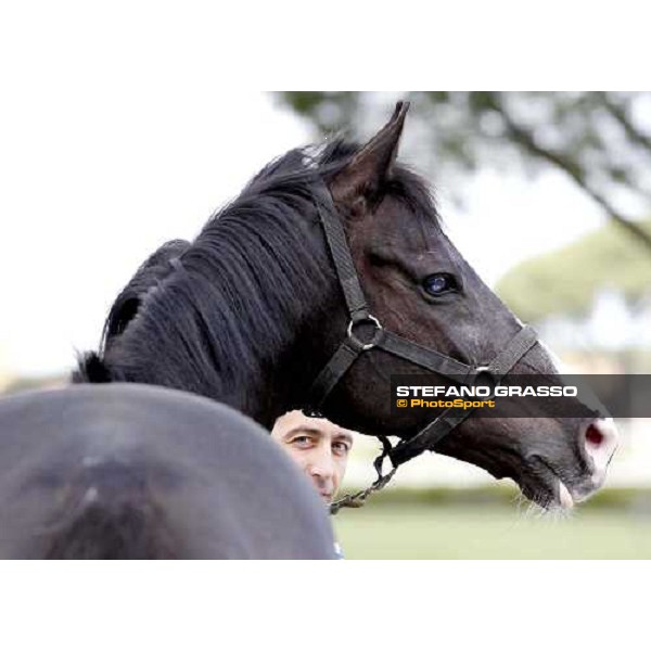 Portrait for Laghat and his owner and gentleman rider Federico De Paola Rome - Capannelle racecourse 15th april 2012 ph.Stefano Grasso