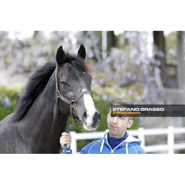 Portrait for Laghat and his owner and gentleman rider Federico De Paola Rome - Capannelle racecourse 15th april 2012 ph.Stefano Grasso
