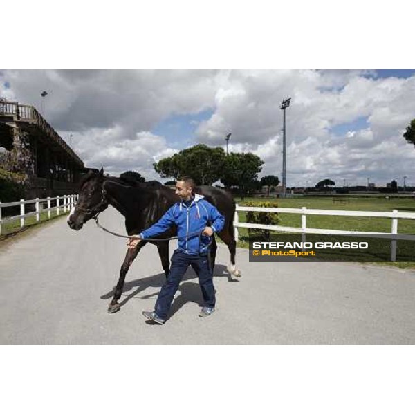 Portrait for Laghat and his owner and gentleman rider Federico De Paola Rome - Capannelle racecourse 15th april 2012 ph.Stefano Grasso