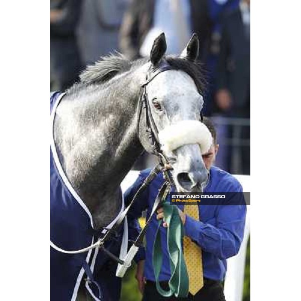 Fabio Branca and Crakerjack King wins the Premio Presidente della Repubblica GBI Racing Rome - Capannelle racecourse, 13th may 2012 ph.Stefano Grasso