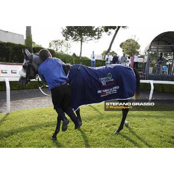 Fabio Branca and Crakerjack King wins the Premio Presidente della Repubblica GBI Racing Rome - Capannelle racecourse, 13th may 2012 ph.Stefano Grasso