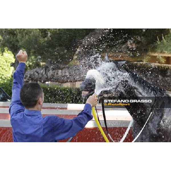 Premio Presidente della Repubblica GBI Racing - a shower for Crackerjack King after the triumph Rome - Capannelle racecourse, 13th may 2012 ph.Stefano Grasso