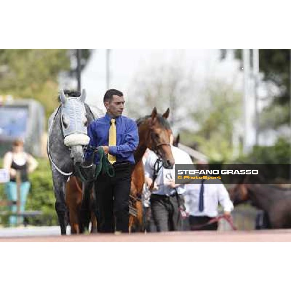 Premio Presidente della Repubblica GBI Racing Rome - Capannelle racecourse, 13th may 2012 ph.Stefano Grasso