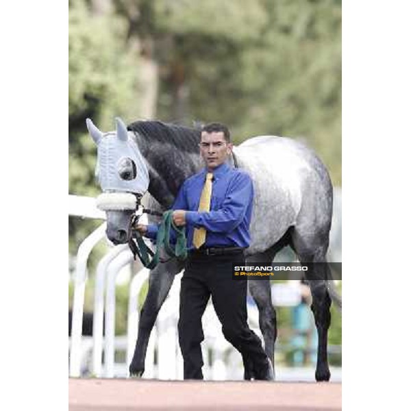 Premio Presidente della Repubblica GBI Racing Rome - Capannelle racecourse, 13th may 2012 ph.Stefano Grasso