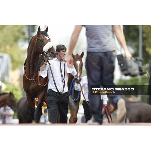 Premio Presidente della Repubblica GBI Racing Rome - Capannelle racecourse, 13th may 2012 ph.Stefano Grasso