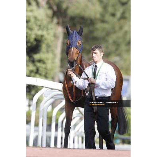 Premio Presidente della Repubblica GBI Racing Rome - Capannelle racecourse, 13th may 2012 ph.Stefano Grasso