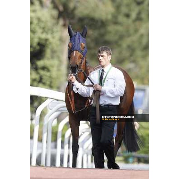 Premio Presidente della Repubblica GBI Racing Rome - Capannelle racecourse, 13th may 2012 ph.Stefano Grasso