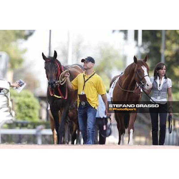 Premio Presidente della Repubblica GBI Racing Rome - Capannelle racecourse, 13th may 2012 ph.Stefano Grasso