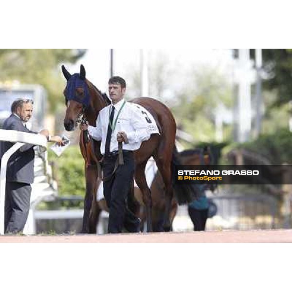 Premio Presidente della Repubblica GBI Racing Rome - Capannelle racecourse, 13th may 2012 ph.Stefano Grasso