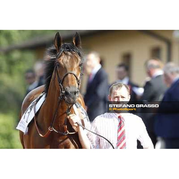 Premio Presidente della Repubblica GBI Racing Rome - Capannelle racecourse, 13th may 2012 ph.Stefano Grasso