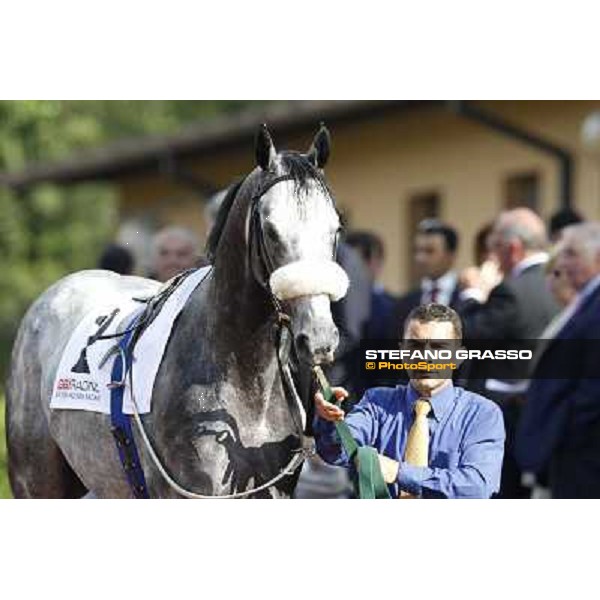 Premio Presidente della Repubblica GBI Racing Rome - Capannelle racecourse, 13th may 2012 ph.Stefano Grasso