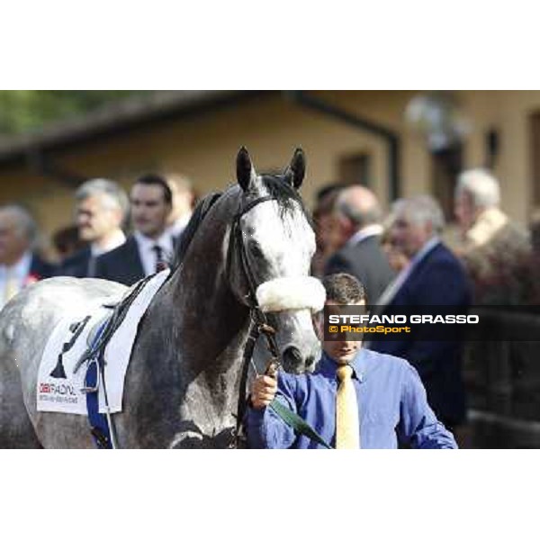 Premio Presidente della Repubblica GBI Racing Rome - Capannelle racecourse, 13th may 2012 ph.Stefano Grasso