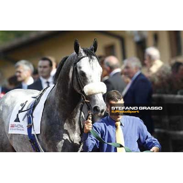 Premio Presidente della Repubblica GBI Racing Rome - Capannelle racecourse, 13th may 2012 ph.Stefano Grasso