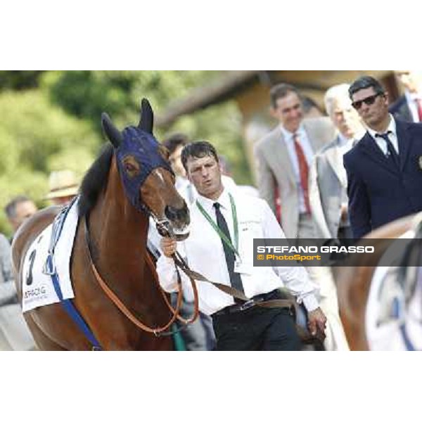 Premio Presidente della Repubblica GBI Racing Rome - Capannelle racecourse, 13th may 2012 ph.Stefano Grasso