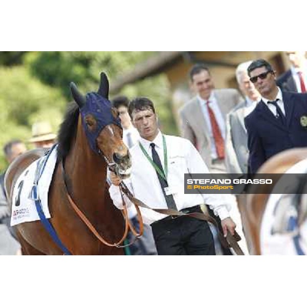 Premio Presidente della Repubblica GBI Racing Rome - Capannelle racecourse, 13th may 2012 ph.Stefano Grasso