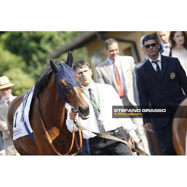 Premio Presidente della Repubblica GBI Racing Rome - Capannelle racecourse, 13th may 2012 ph.Stefano Grasso