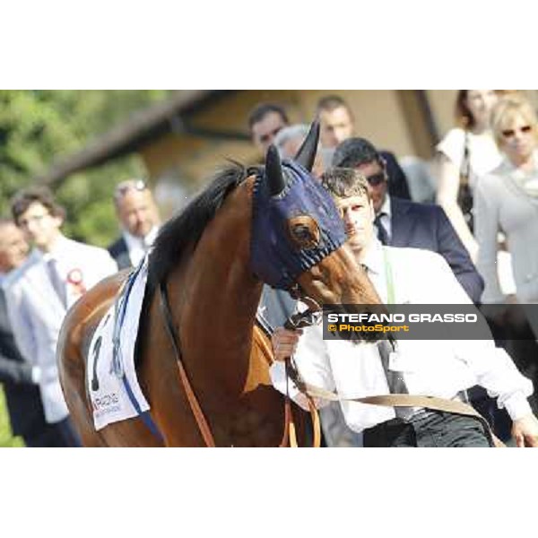 Premio Presidente della Repubblica GBI Racing Rome - Capannelle racecourse, 13th may 2012 ph.Stefano Grasso