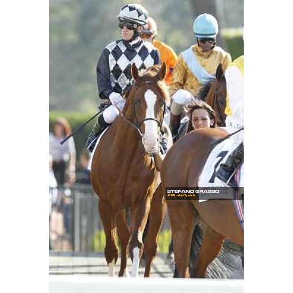 Premio Presidente della Repubblica GBI Racing Rome - Capannelle racecourse, 13th may 2012 ph.Stefano Grasso