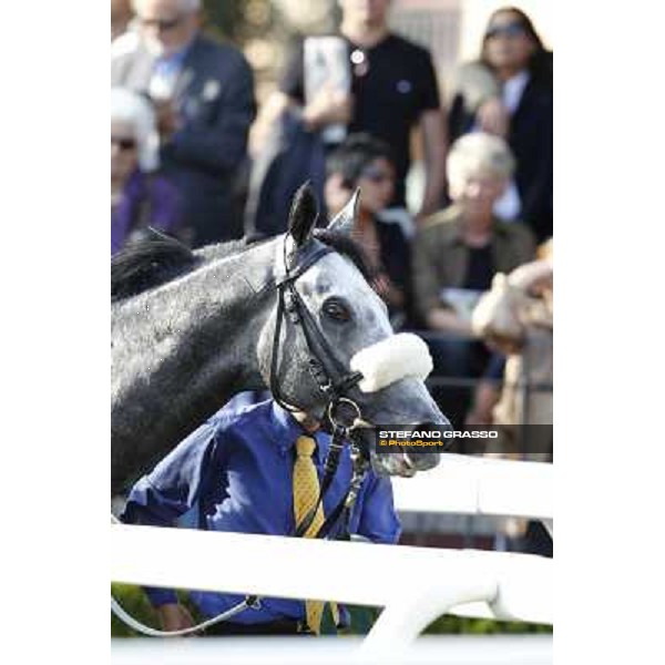 Premio Presidente della Repubblica GBI Racing Rome - Capannelle racecourse, 13th may 2012 ph.Stefano Grasso