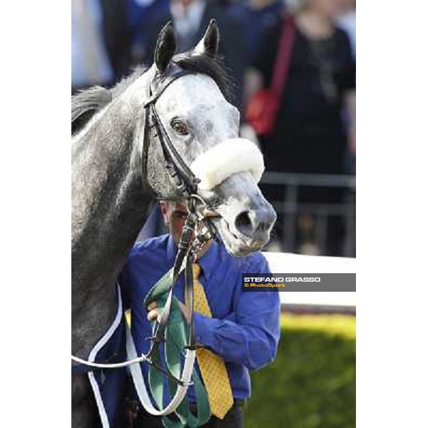 Premio Presidente della Repubblica GBI Racing Rome - Capannelle racecourse, 13th may 2012 ph.Stefano Grasso