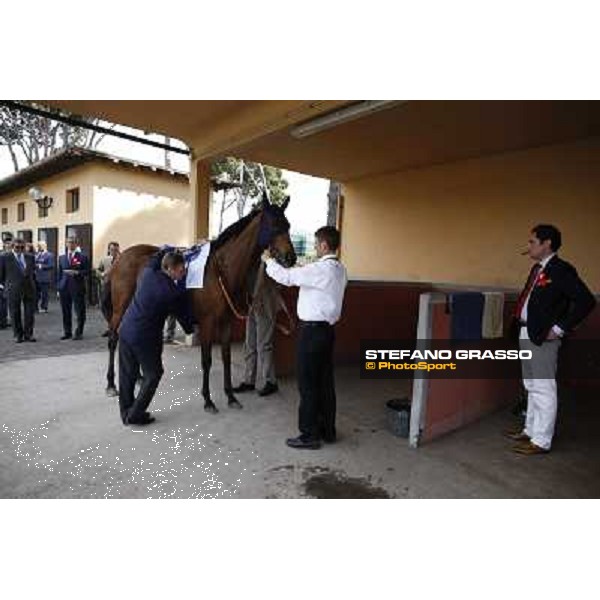 Premio Presidente della Repubblica GBI Racing Rome - Capannelle racecourse, 13th may 2012 ph.Stefano Grasso