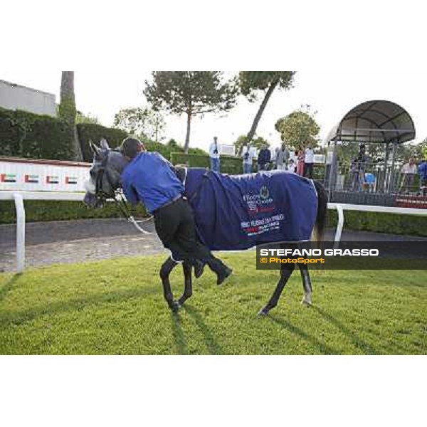 Premio Presidente della Repubblica GBI Racing Rome - Capannelle racecourse, 13th may 2012 ph.Stefano Grasso