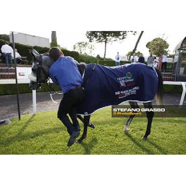 Premio Presidente della Repubblica GBI Racing Rome - Capannelle racecourse, 13th may 2012 ph.Stefano Grasso