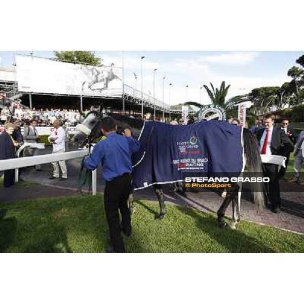 Premio Presidente della Repubblica GBI Racing Rome - Capannelle racecourse, 13th may 2012 ph.Stefano Grasso