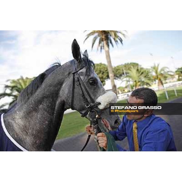 Premio Presidente della Repubblica GBI Racing Rome - Capannelle racecourse, 13th may 2012 ph.Stefano Grasso