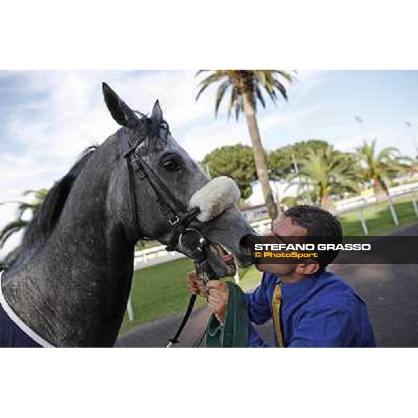 Premio Presidente della Repubblica GBI Racing Rome - Capannelle racecourse, 13th may 2012 ph.Stefano Grasso