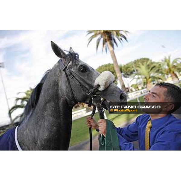 Premio Presidente della Repubblica GBI Racing Rome - Capannelle racecourse, 13th may 2012 ph.Stefano Grasso