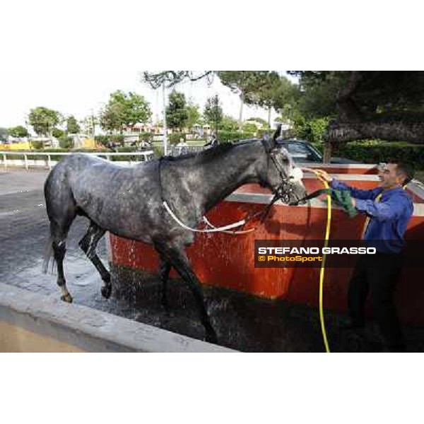 Premio Presidente della Repubblica GBI Racing Rome - Capannelle racecourse, 13th may 2012 ph.Stefano Grasso