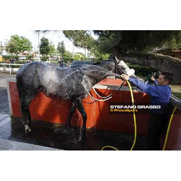 Premio Presidente della Repubblica GBI Racing Rome - Capannelle racecourse, 13th may 2012 ph.Stefano Grasso