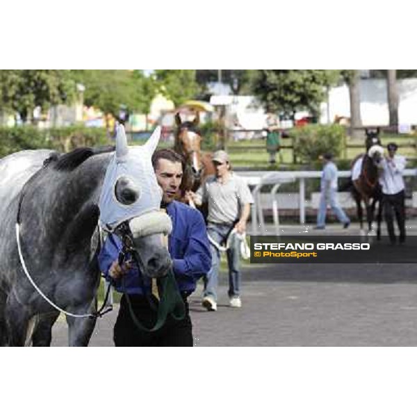 Premio Presidente della Repubblica GBI Racing Rome - Capannelle racecourse, 13th may 2012 ph.Stefano Grasso