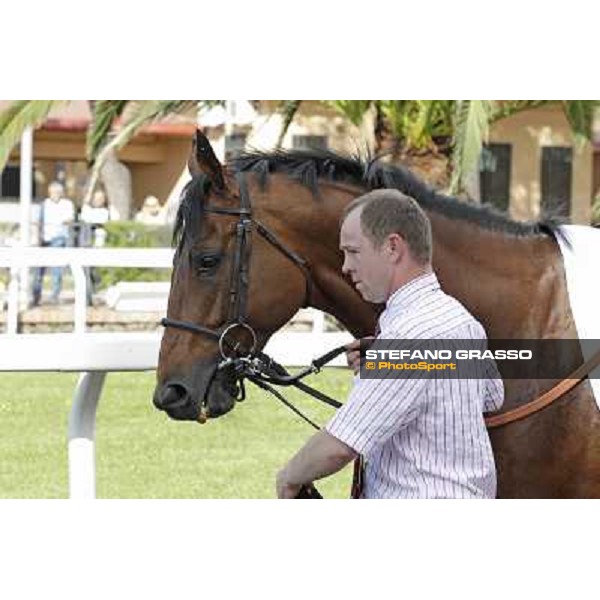 Premio Presidente della Repubblica GBI Racing Rome - Capannelle racecourse, 13th may 2012 ph.Stefano Grasso