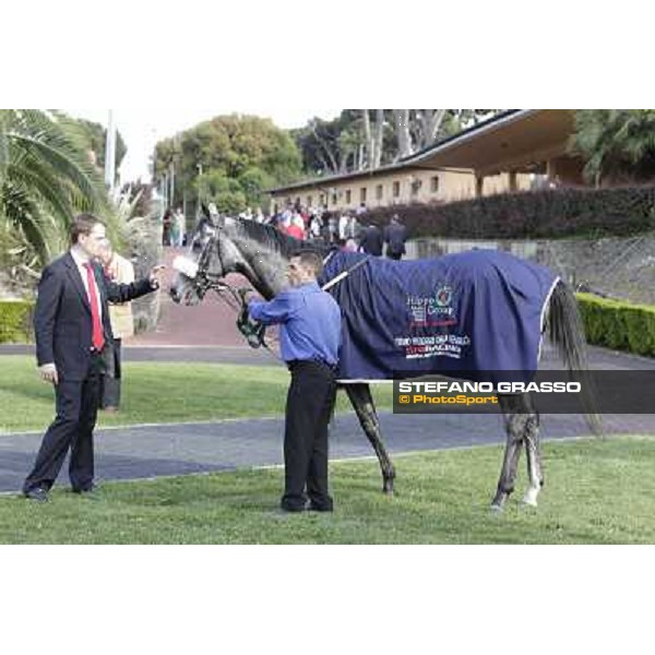 Premio Presidente della Repubblica GBI Racing Rome - Capannelle racecourse, 13th may 2012 ph.Stefano Grasso