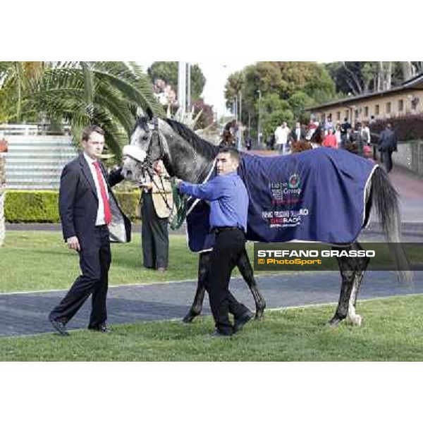 Premio Presidente della Repubblica GBI Racing Rome - Capannelle racecourse, 13th may 2012 ph.Stefano Grasso