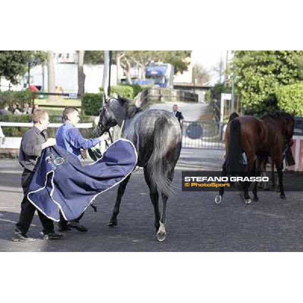 Premio Presidente della Repubblica GBI Racing Rome - Capannelle racecourse, 13th may 2012 ph.Stefano Grasso