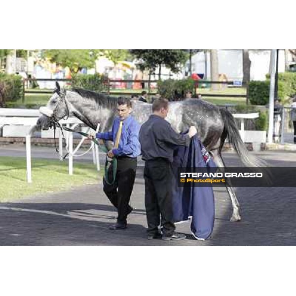 Premio Presidente della Repubblica GBI Racing Rome - Capannelle racecourse, 13th may 2012 ph.Stefano Grasso