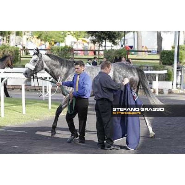 Premio Presidente della Repubblica GBI Racing Rome - Capannelle racecourse, 13th may 2012 ph.Stefano Grasso