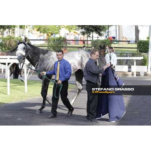 Premio Presidente della Repubblica GBI Racing Rome - Capannelle racecourse, 13th may 2012 ph.Stefano Grasso