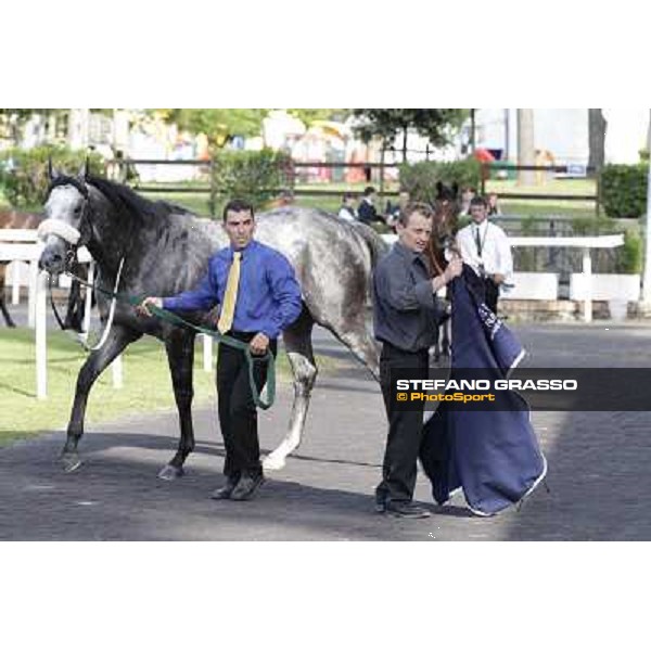 Premio Presidente della Repubblica GBI Racing Rome - Capannelle racecourse, 13th may 2012 ph.Stefano Grasso