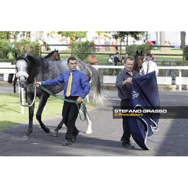 Premio Presidente della Repubblica GBI Racing Rome - Capannelle racecourse, 13th may 2012 ph.Stefano Grasso