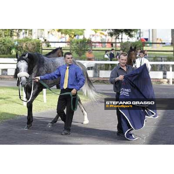 Premio Presidente della Repubblica GBI Racing Rome - Capannelle racecourse, 13th may 2012 ph.Stefano Grasso