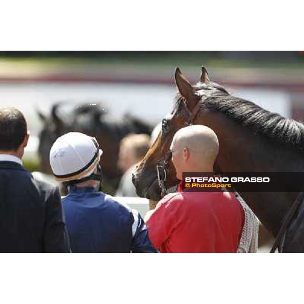 Premio Presidente della Repubblica GBI Racing Rome - Capannelle racecourse, 13th may 2012 ph.Stefano Grasso