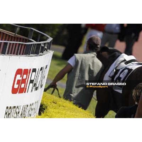 Premio Presidente della Repubblica GBI Racing Rome - Capannelle racecourse, 13th may 2012 ph.Stefano Grasso