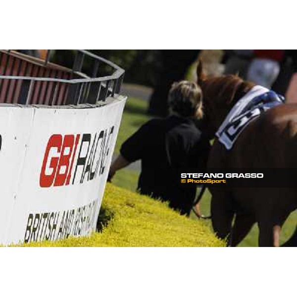 Premio Presidente della Repubblica GBI Racing Rome - Capannelle racecourse, 13th may 2012 ph.Stefano Grasso