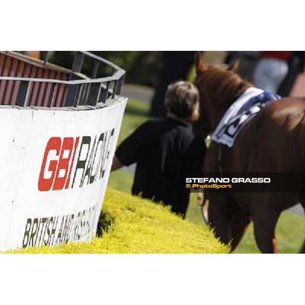 Premio Presidente della Repubblica GBI Racing Rome - Capannelle racecourse, 13th may 2012 ph.Stefano Grasso